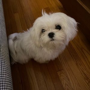 Meet your Posher, Stephen